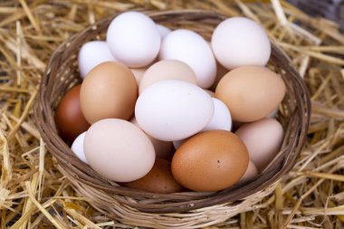 Kuru saman içinde çiğ yumurta. Gıda kavramı fotoğraf. 