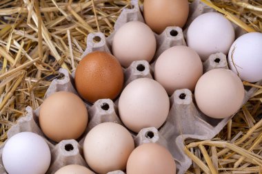 Kuru saman içinde çiğ yumurta. Gıda kavramı fotoğraf. 