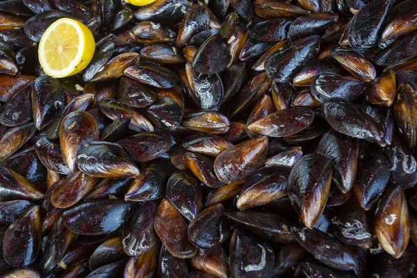 Gefüllte Miesmuscheln im türkischen Stil, Midye Dolma mediterrane Küche — Stockfoto