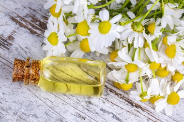 Esans taze papatya çiçeği, cam şişe içinde beau