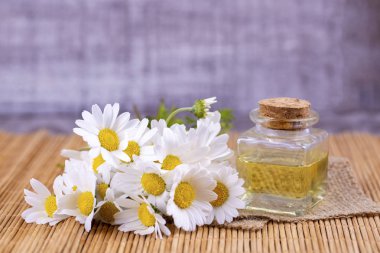 Esans taze papatya çiçeği, cam şişe içinde beau