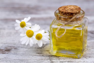 Esans taze papatya çiçeği, cam şişe içinde beau