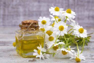 Esans taze papatya çiçeği, cam şişe içinde beau