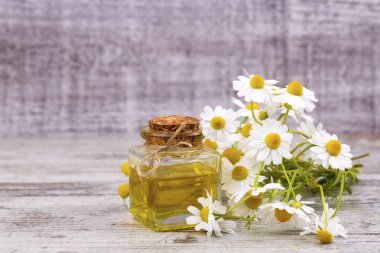Esans taze papatya çiçeği, cam şişe içinde beau
