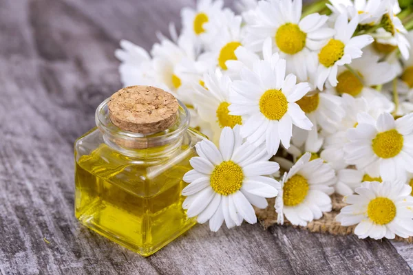Essential oil in glass bottle with fresh chamomile flowers, beau — Stock Photo, Image