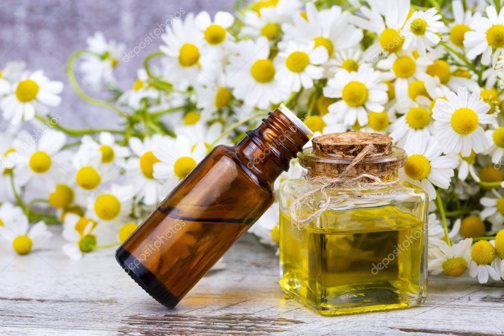 Essential oil in glass bottle with fresh chamomile flowers, beau