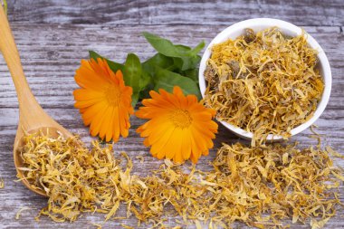 Taze ve kuru calendula officinalis bitkisel çiçekler