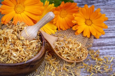 Taze ve kuru calendula officinalis bitkisel çiçekler