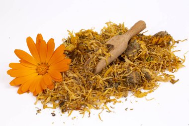 Taze ve kuru calendula officinalis bitkisel çiçekler