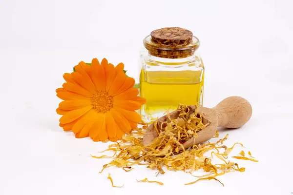 Az üveg és a csepp olaj elkülönített gyógynövény calendula officinalis — Stock Fotó