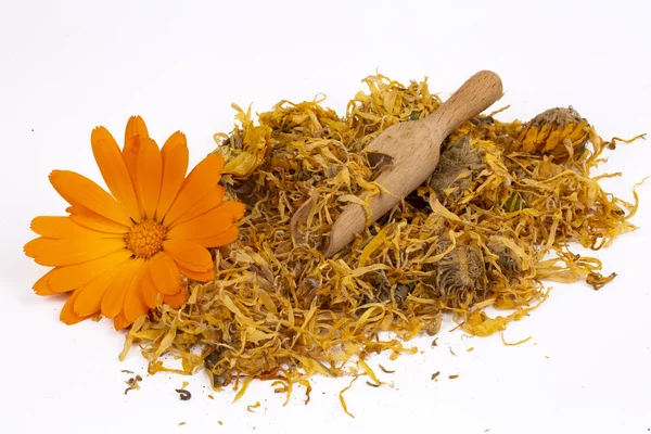 Friss és szárított calendula officinalis növényi virágok — Stock Fotó