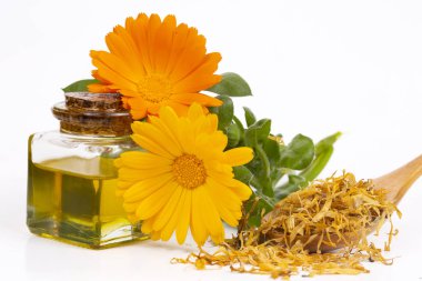 Cam ve damla petrol Isolated bitkisel calendula officinalis