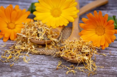 Taze ve kuru calendula officinalis bitkisel çiçekler
