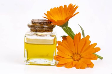 Cam ve damla petrol Isolated bitkisel calendula officinalis