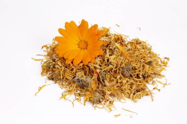 Taze ve kuru calendula officinalis bitkisel çiçekler