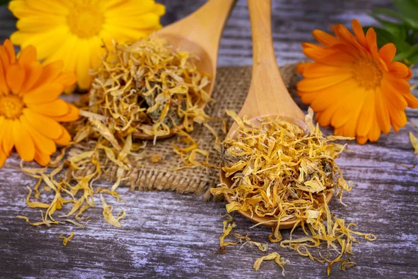 Taze ve kuru calendula officinalis bitkisel çiçekler — Stok fotoğraf