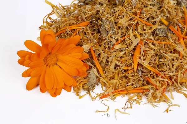 Friss és szárított calendula officinalis növényi virágok — Stock Fotó