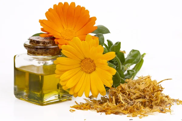 Az üveg és a csepp olaj elkülönített gyógynövény calendula officinalis — Stock Fotó