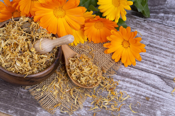 Травяные цветки календулы лекарственной
