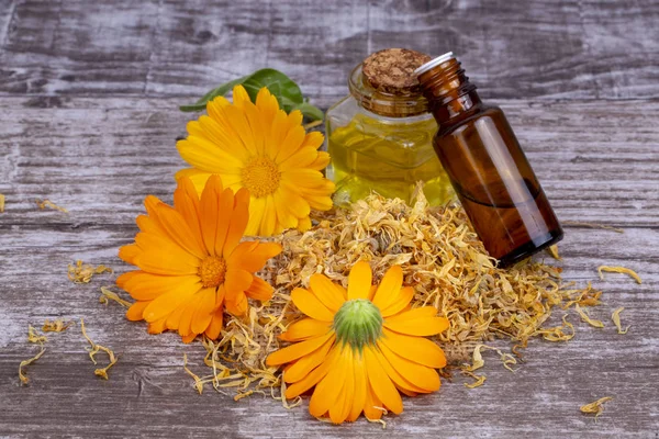 Az üveg és a csepp olaj elkülönített gyógynövény calendula officinalis — Stock Fotó