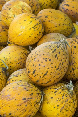 Bir sürü kavun. Yaz tepsisi pazar tarım çiftliği tam o