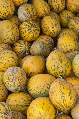 Bir sürü kavun. Yaz tepsisi pazar tarım çiftliği tam o