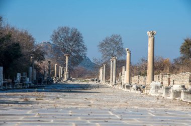 Türkiye İzmir Efes Antik Şehir, Tarihi Şehir