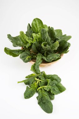 Beyaz arka planda yeşil taze organik ıspanak.