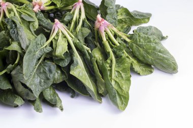 Beyaz arka planda yeşil taze organik ıspanak.