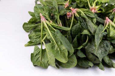 Beyaz arka planda yeşil taze organik ıspanak.