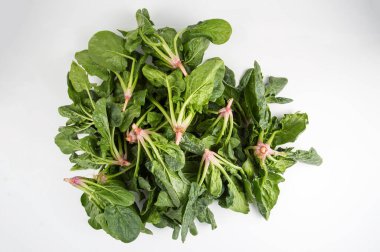 Beyaz arka planda yeşil taze organik ıspanak.