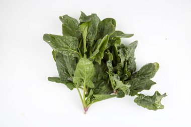Beyaz arka planda yeşil taze organik ıspanak.