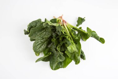 Beyaz arka planda yeşil taze organik ıspanak.