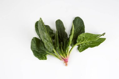 Beyaz arka planda yeşil taze organik ıspanak.