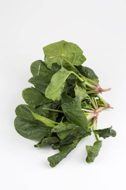 Beyaz arka planda yeşil taze organik ıspanak.