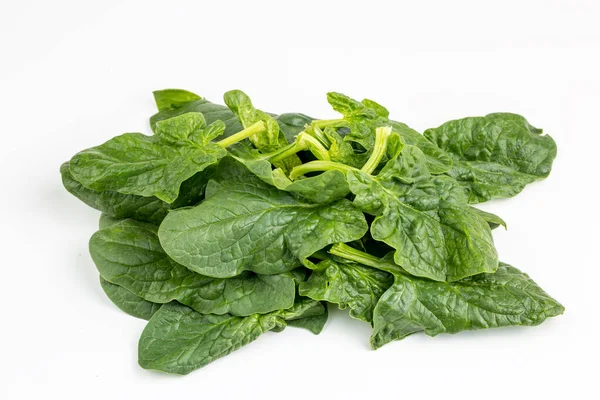 Green Fresh Organic Spinach White Background — Stock Photo, Image