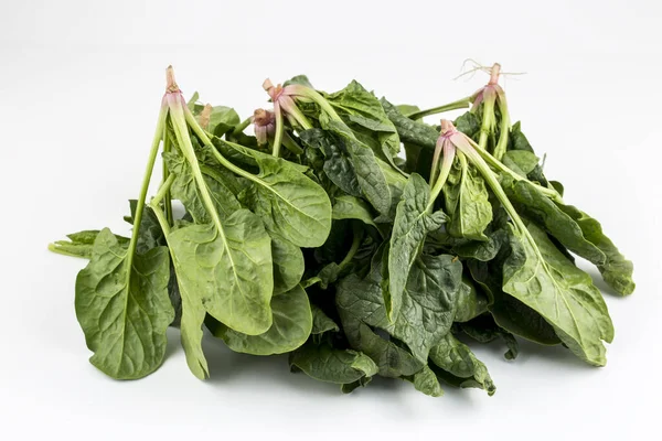 Espinacas Ecológicas Frescas Verdes Sobre Fondo Blanco — Foto de Stock