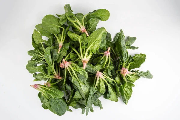 Beyaz arka planda yeşil taze organik ıspanak.