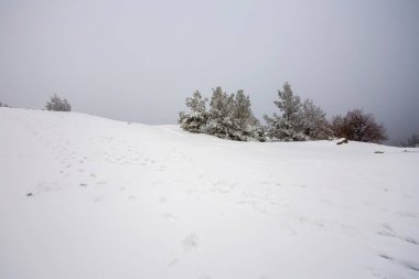 Türkiye İzmir Kara Gölü (Karagol) kış manzarası (İzmir Yamanlar)