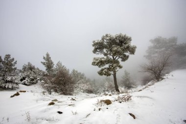 Türkiye İzmir Kara Gölü (Karagol) kış manzarası (İzmir Yamanlar)