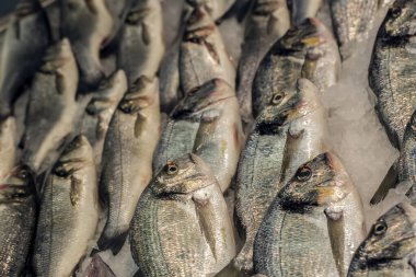 Beyaz ahşap arka planda taze balık ve deniz ürünleri. Sağlıklı beslenme. Üst görünüm