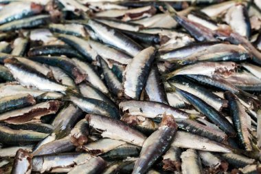 Beyaz ahşap arka planda taze balık ve deniz ürünleri. Sağlıklı beslenme. Üst görünüm