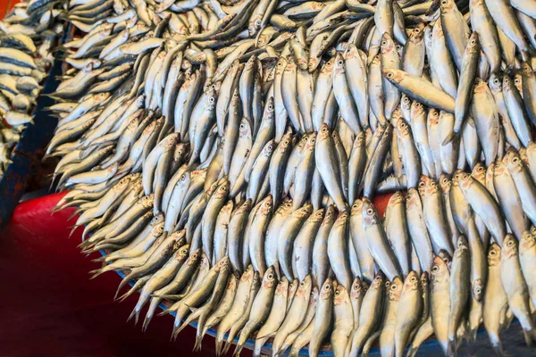 Poisson Fruits Mer Frais Sur Fond Bois Blanc Une Saine — Photo