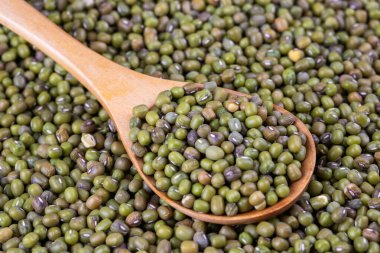 Mung fasulyelerini ya da Vigna radyatör tohumlarını kapatın..