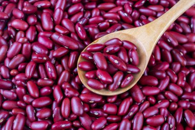 Kırmızı Böbrek Fasulyesi - Faseolus vulgaris izole edildi