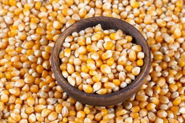 Beyaz arka planda kurumuş mısır.