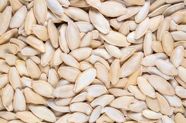 beyaz zemin üzerinde kabak çekirdeği