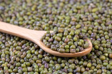 Mung fasulyelerini ya da Vigna radyatör tohumlarını kapatın..