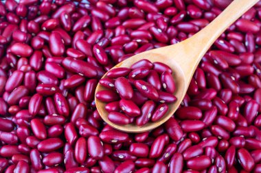 Kırmızı Böbrek Fasulyesi - Faseolus vulgaris izole edildi