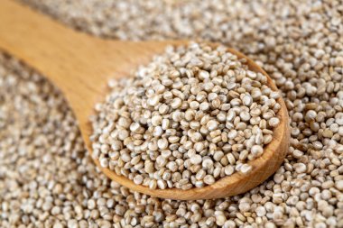 Beyaz arkaplanda beyaz kinoa tohumları